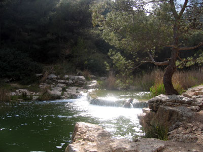 Rio en movimiento - Jornadas Regionales sobre Turismo Rural