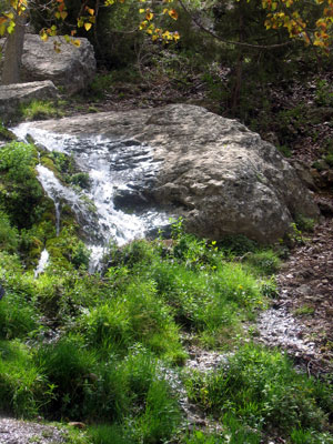 Riachuelo - Jornadas Regionales sobre Turismo Rural
