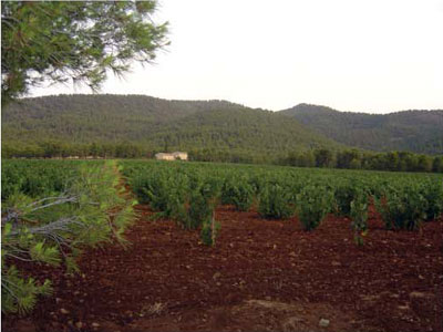 Paisaje rural - Jornadas Regionales sobre Turismo Rural